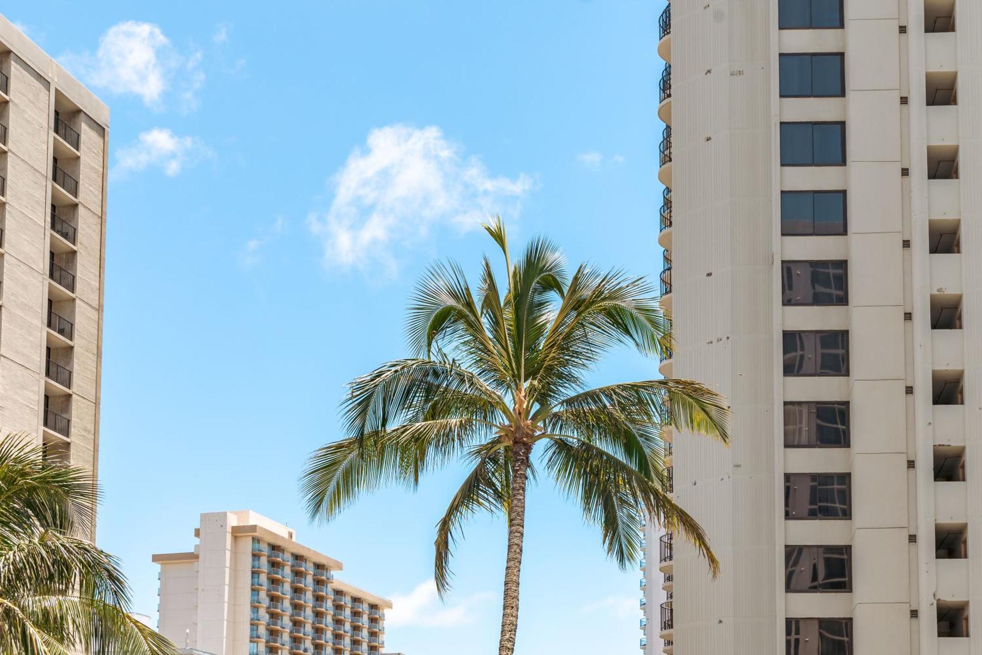 Beautiful 1Br, Steps To Waikiki Beach And Parking Гонолулу Екстер'єр фото