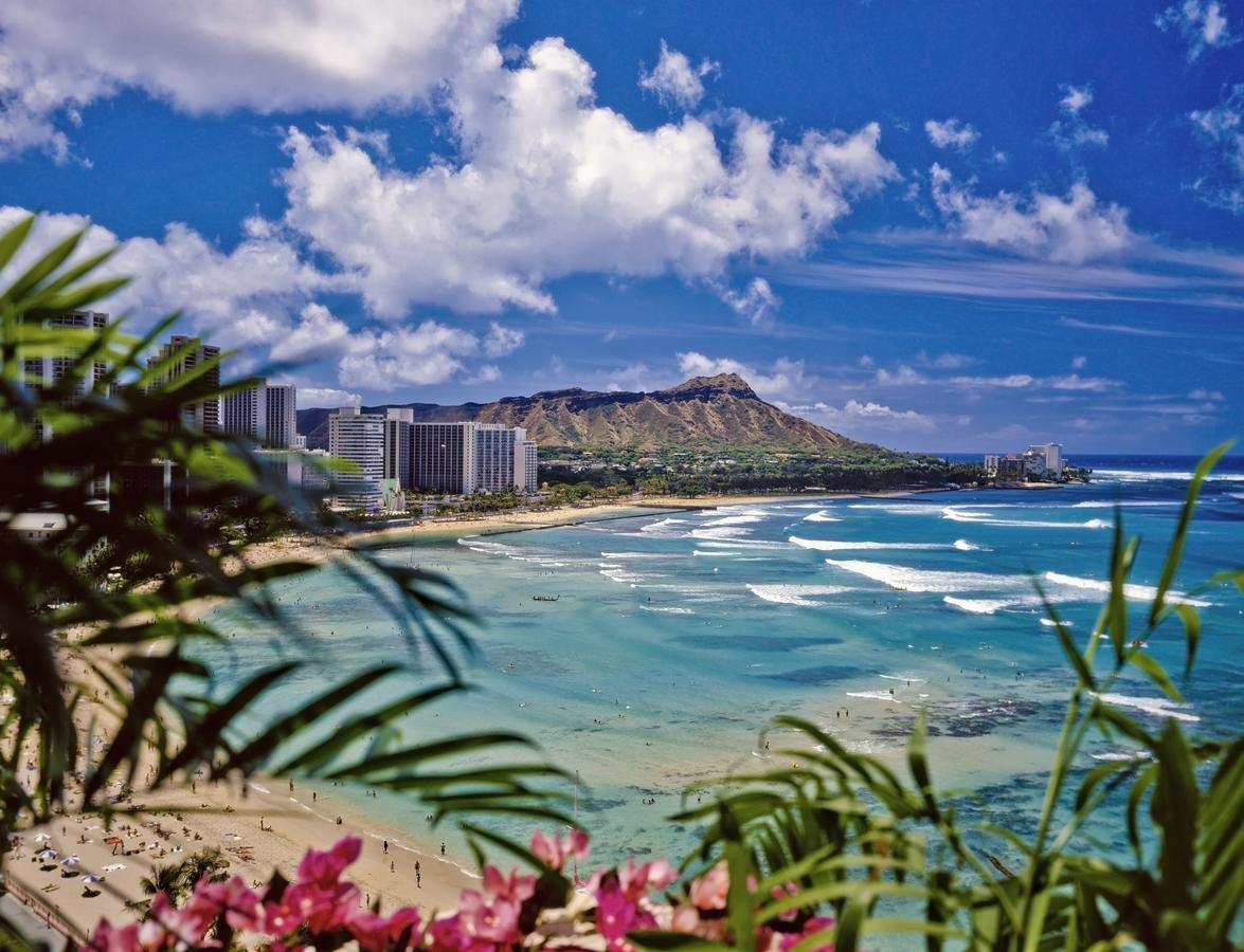 Beautiful 1Br, Steps To Waikiki Beach And Parking Гонолулу Екстер'єр фото